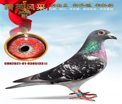 ��(gu��)혼Ҿ�.�˽B��