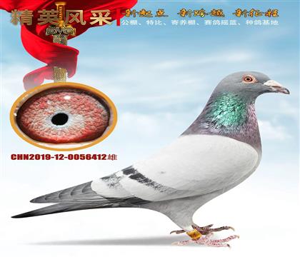 �o(w��)�����������_�ܚW