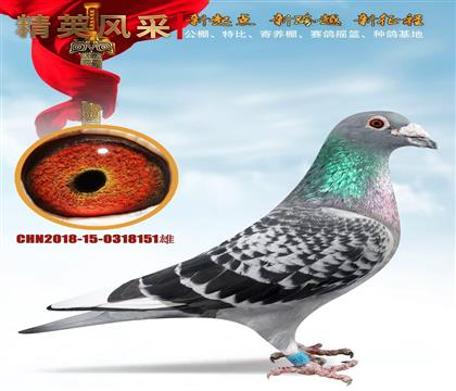 �����ƴ����|�|���Ռ���