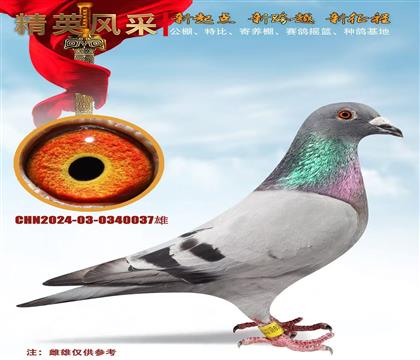 ���f(w��n)����