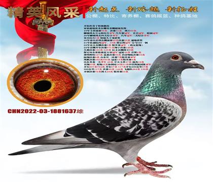 �_(k��i)�؂����ڑя�(qi��ng)