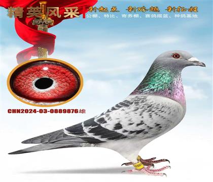 �ɴΛQِ��܊����Ѫ�}