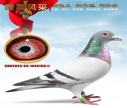 ���W003.ղɭС���