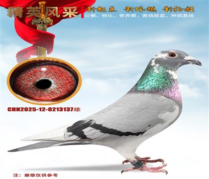 ���������һ�C�p�w