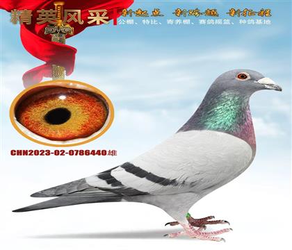 ����܊���I(l��ng)�(du��)