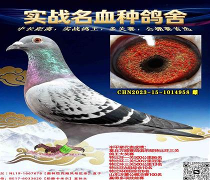 �W��ƥ���Z�L(f��ng)�OŮ