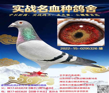 ���F������