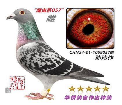 2��--�������ױǺ��ָ�1059057��