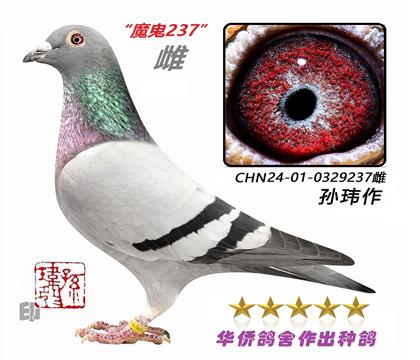 1��--����������ϵ-0329237��