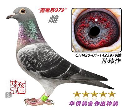 5��--��������ϵ1423979�����-��