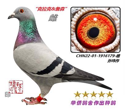 4��--�����ָ������ղɭ845��ֱ��Ů1916179