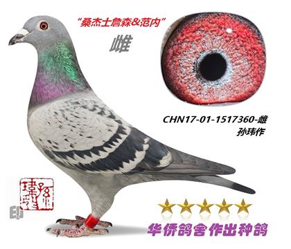 7�š�ɣ��ʿ��ķղɭϵ1517360-��