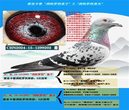 (重點推薦)愛亞卡普“渦輪羅西直子”X“渦輪羅西直女”