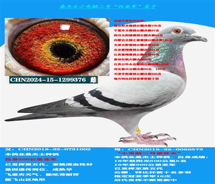 (山區(qū)地形 吃苦耐勞)云貴川提速利器 公棚首選