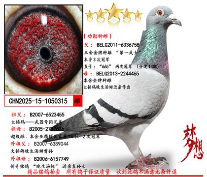 �����]��ɣ��ʿ��һ��ʿ�����׷N�ơ�