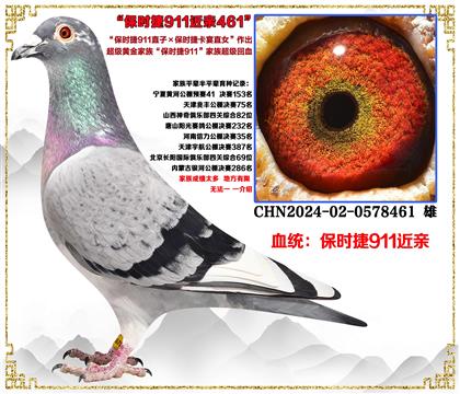 �����c(di��n)���]�������r��911ֱ��X���r��911ȫ�ֵ�ֱŮ�����H