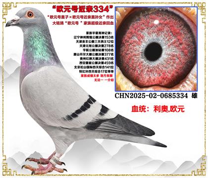 �����c(di��n)���]�����W���WԪֱ̖�ӡ��WԪ̖���Hֱ�OŮ���������H