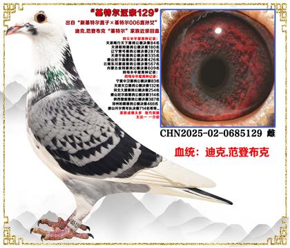 �Ͽ�.���ǲ��ˡ��»��ؠ�ֱ�ӡ����ؠ�006ֱ�OŮ������