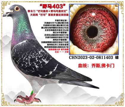 ��˹.���T���Ϳ�ֱ̖�O��Ұ�Rֱ̖�OŮ��