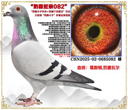 ��˹�D.�����ߠ�������С����O������718ֱŮ������