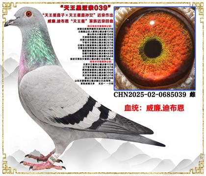 ����.�ϲ�����������ֱ�ӡ�������ֱ�OŮ�����H����