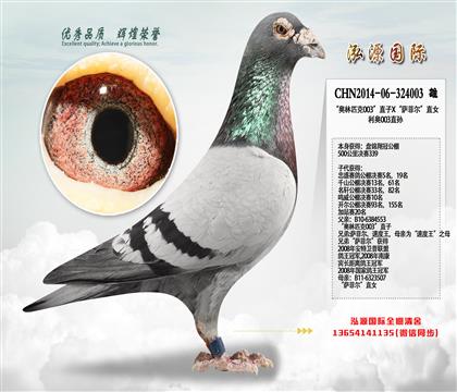 ���S���䌦�ۡ��������������λ���H�����W003ֱ�O