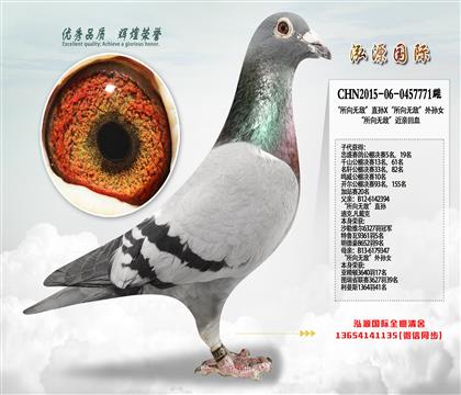 ���S���䌦�ơ���������������λĸ�H������o��