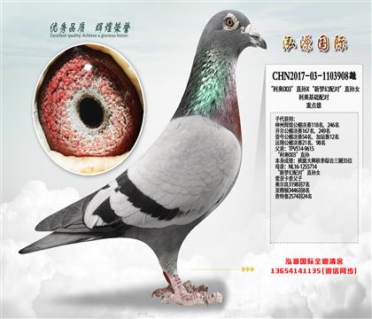 ���c�� �Ӵ��l(f��)�]��ɫ�������W003��ֱ�OX�������䌦��ֱ�O