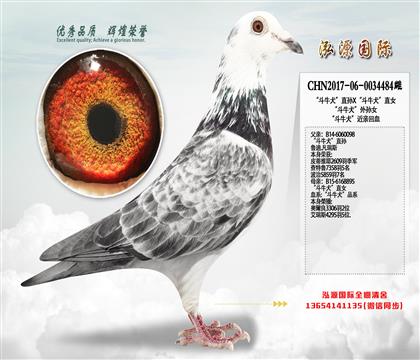 ����ţȮ����O�����������B(y��ng)�����λ���ٶ�