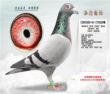 �����W�̖��ֱ�O������������һ�P(gu��n)�ϰ�