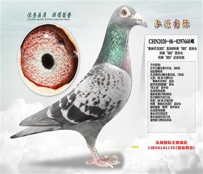 ���W��ƥ��003�����ؽ��H���Ӵ��l(f��)�]��ɫ