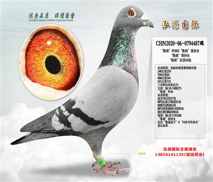 ���P(gu��n)�رȭh(hu��n)�C��31������?sh��)ϡ���OX����?sh��)ϡ�ֱ�OŮ