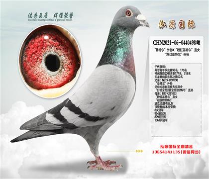 ���ۼt���ؠ�����O���Ӵ����峬���l(f��)�]