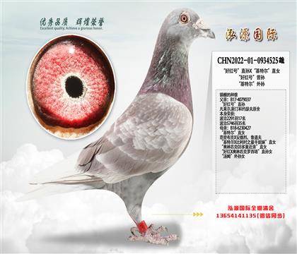 ����������� ���üt̖��ֱ�OX�����ؠ���ֱŮ