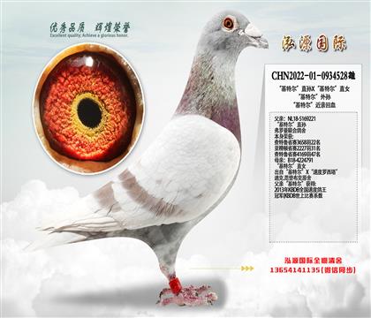 ���ٵ�Ѫϵ�������ؠ���ֱ�OX�����ؠ���ֱŮ