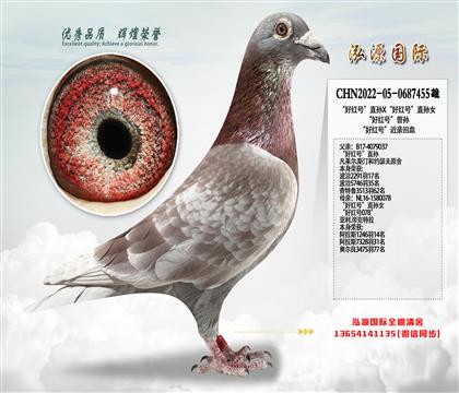 ���üt̖��ֱ�OX���üt̖��ֱ�OŮ