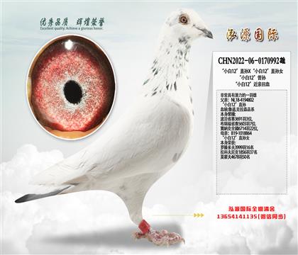 �ǳ��Н�����������С��12��ֱ�OX��С��12��ֱ�OŮ