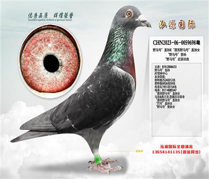 Ұ�R̖��ֱ�OX��Ư��Ұ�R̖��ֱ�OŮ