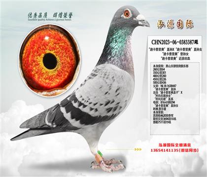 500����436�����Ͽ�����W�����H��Ѫ