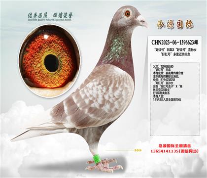 ���üt̖����ѪX���üt̖��ֱ�OŮ