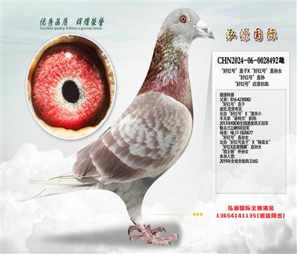 �����]�S���ۡ����üt̖��ֱ��X���üt̖��ֱ�OŮ