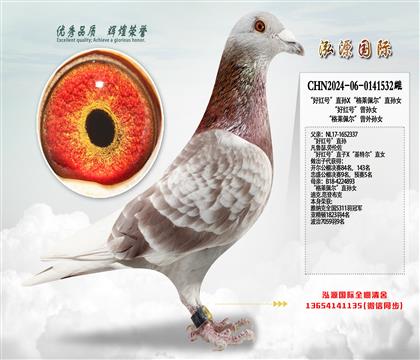 ���üt̖��ֱ�OX�����R�堖��ֱ�OŮ