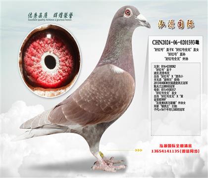 ���������]�����üt̖��ֱ��X���üt̖ȫ�֡�ֱŮ