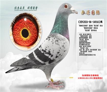 ���W��ƥ��003��ֱ�OX��������OŮ