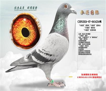 ��С�Ͽˡ�ֱ�OX��С�Ͽˡ�ֱ�OŮ