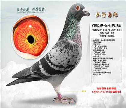 500����33����֪��17�䌦��ֱ�OX�����\848��ֱ�OŮ