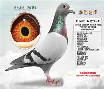 500����35���Ĵ�500���ɽ�^(q��)�D�yِ�µ����x