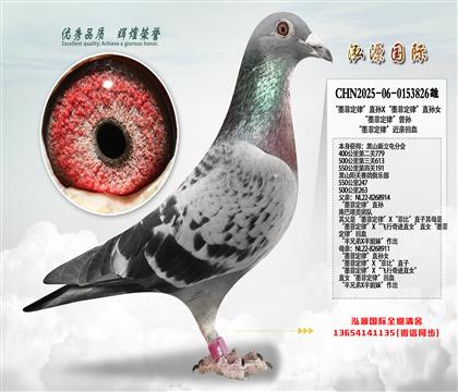 550����247���Ĵ�500��������ī�ƶ��ɡ����H��Ѫ