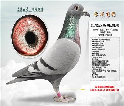 550����19���Ĵ�500�����������ؠ������H��Ѫ