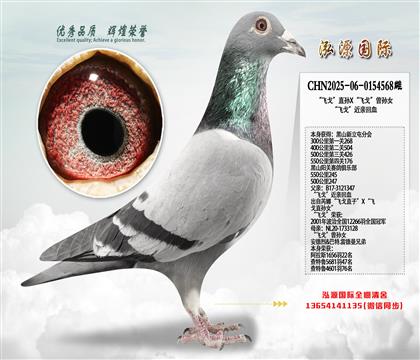 550����245���Ĵ�500������w�ꡱ���H��Ѫ